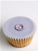 Evenly Baked Cupcakes