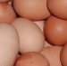 Using Whole Eggs vs Separating Eggs