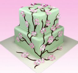 Japanese Cherry Blossoms