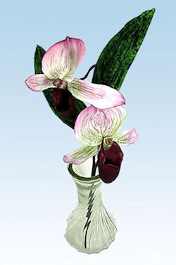 Britain's Rarest
